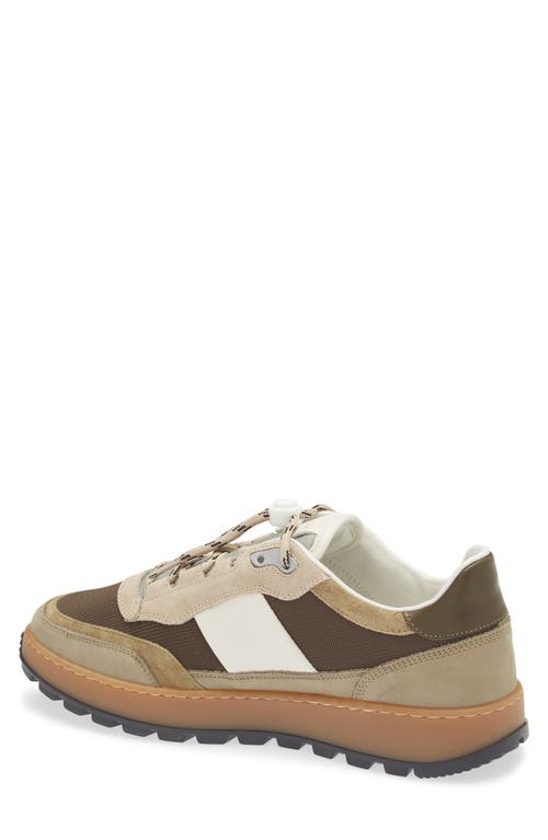 Collegium Pillar Trail Sneaker In Brown