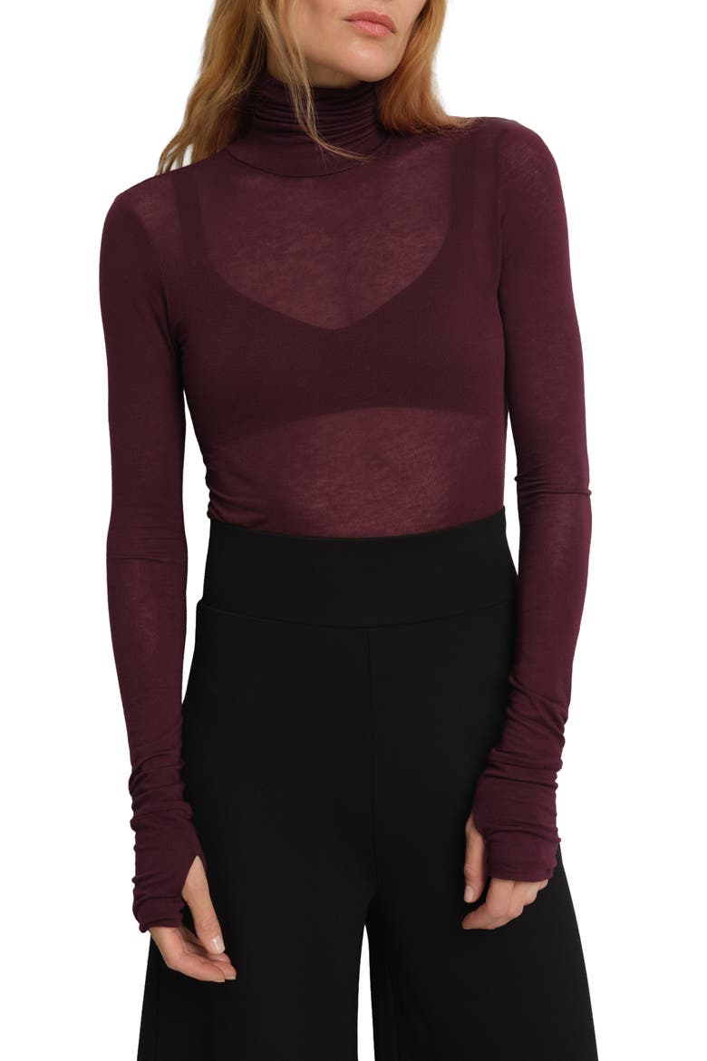 Eloise Sheer Turtleneck, Main, color, BURGUNDY