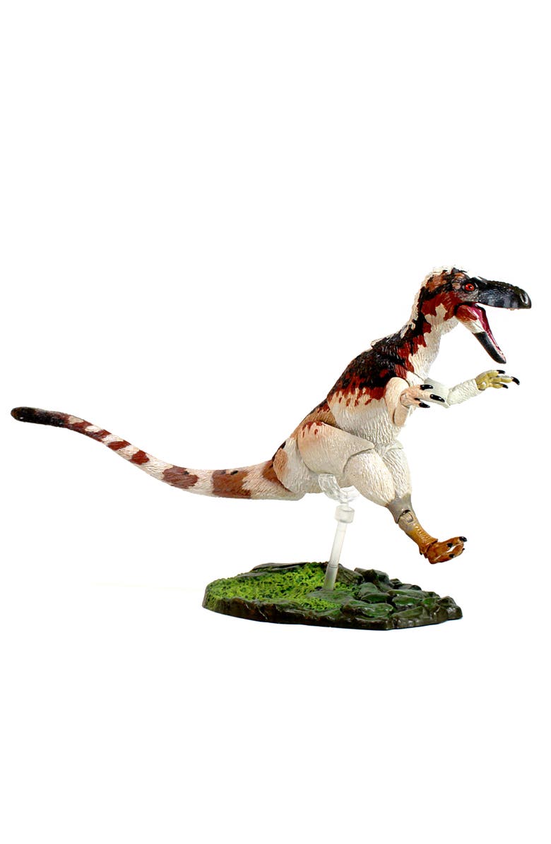 Beasts of the Mesozoic Suskityrannus Hazelae, Alternate, color, Multicolored