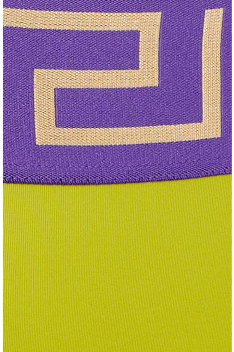 Greca Border Triangle Bikini Top, Alternate, color, PALE AVOCADO PURPLE