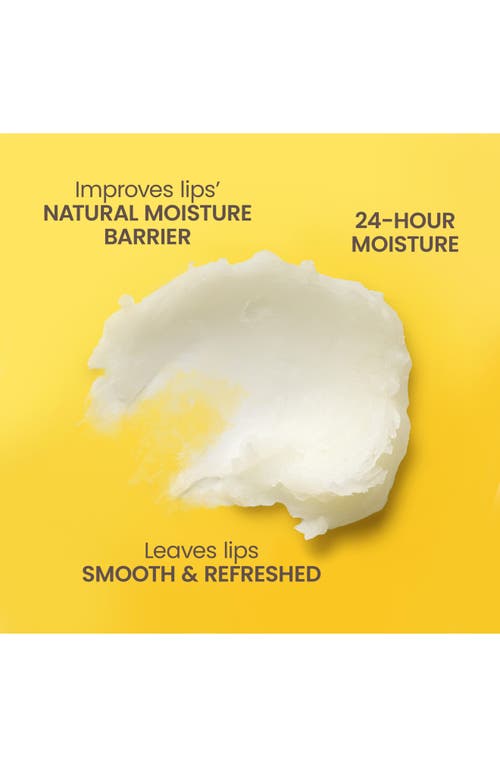 Burt's Bees Mistletoe Kiss Bee Merry Lip Balm Gift Set In Transparent