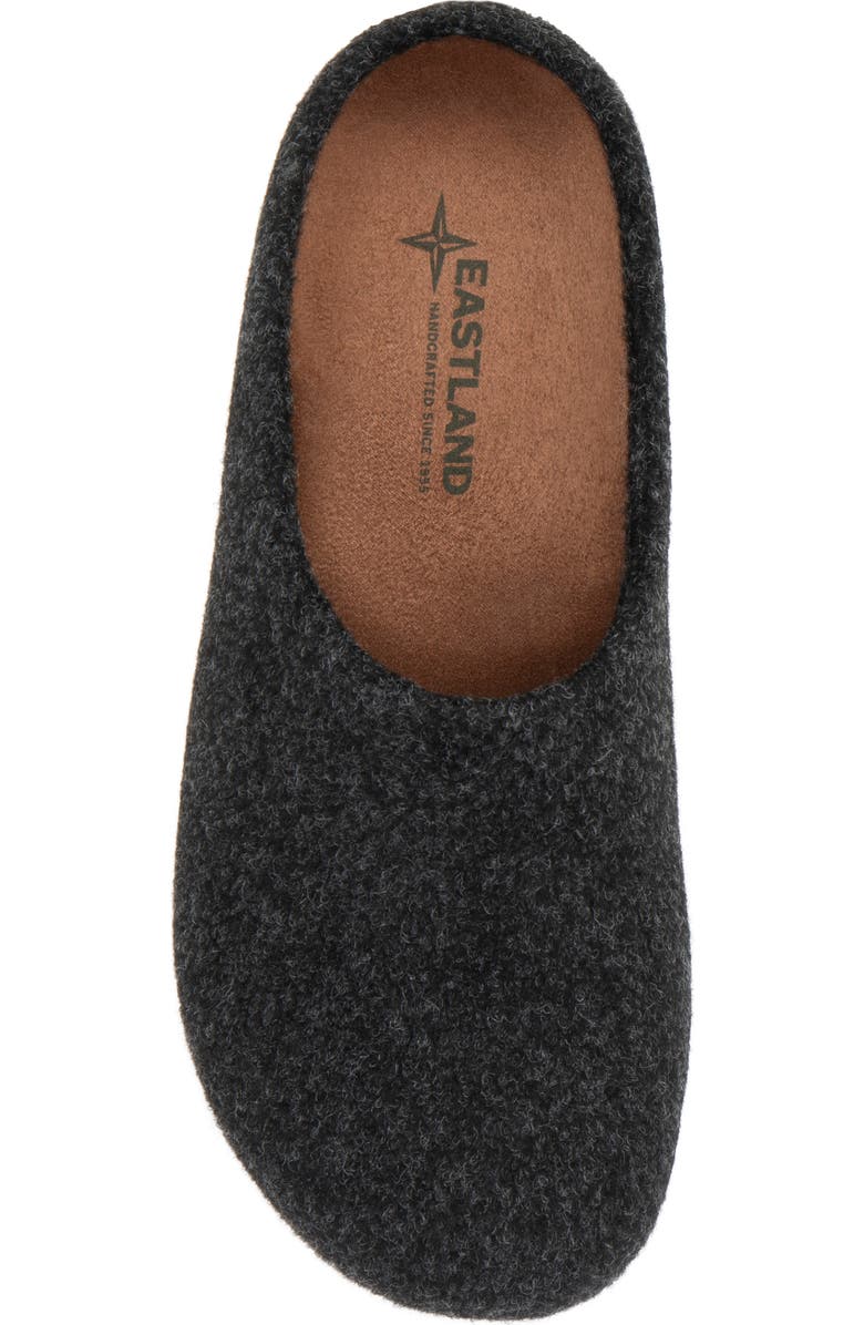 Eastland Rhianna Wool Clog, Alternate, color, Black