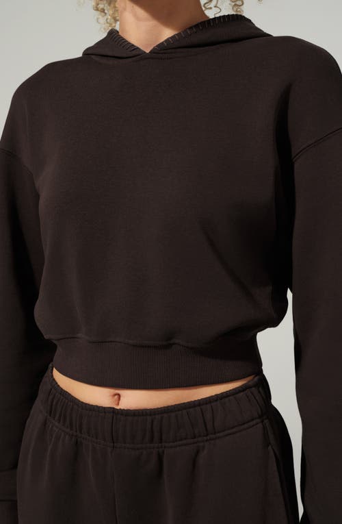 Lilysilk Seamflow Poise Pullover In Brown