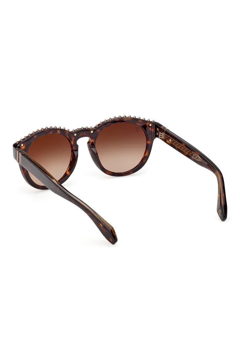 53mm Round Sunglasses, Alternate, color, HAVANA BRONZE / ZEISS GREEN