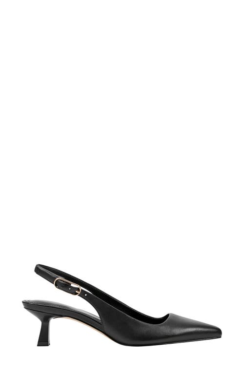 Marc Fisher Ltd Kory Pointed Toe Kitten Heel Pump In Black