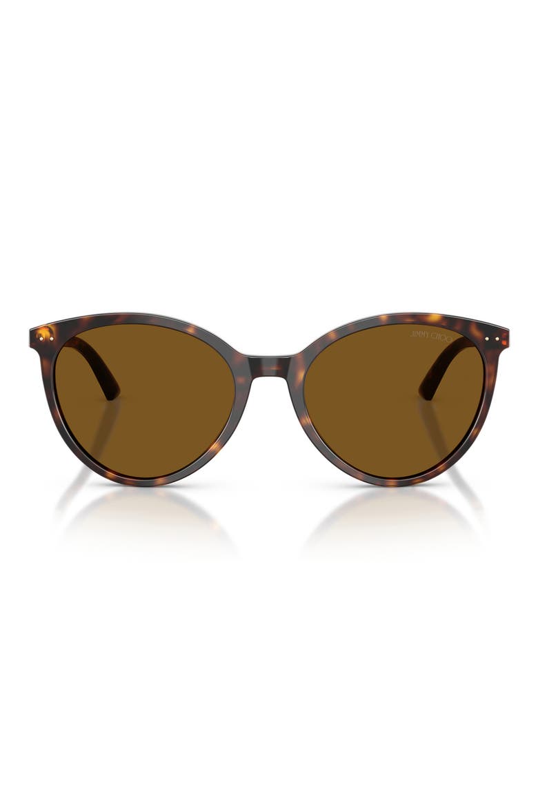 JC5060 53mm Polarized Phantos Sunglasses, Main, color, HAVANA / DARK BROWN POLAR