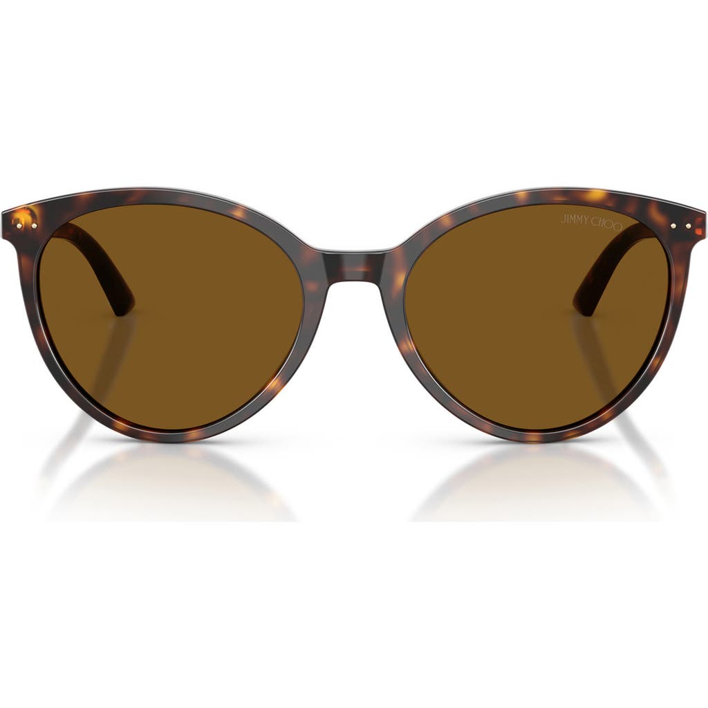 Jimmy Choo Jc5060 53mm Polarized Phantos Sunglasses In Havana/dark Brown Polar