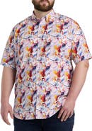 Robert Graham DXL Big & Tall Ledger Sport Shirt
