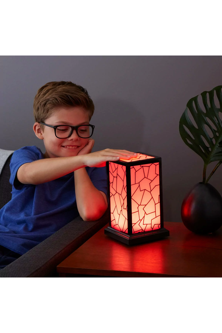 Long Distance Friendship Lamp by Technology for Humankind, Alternate, color, Single Lamp
