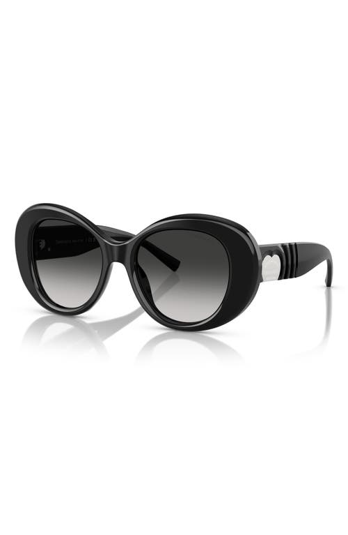 Tiffany & Co . 52mm Gradient Round Sunglasses In Black