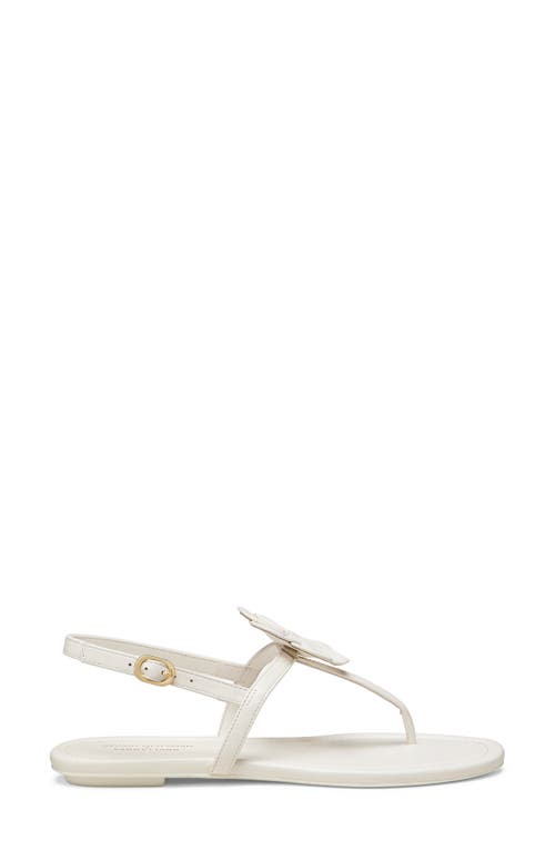 Stuart Weitzman X Sandy Liang T-strap Slingback Sandal In Cream