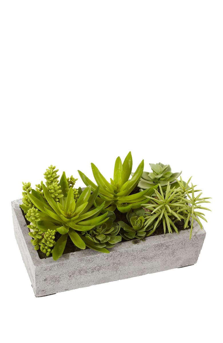 NEARLY NATURAL Succulent Garden with Concrete Planter  - Green, Main, color, 
