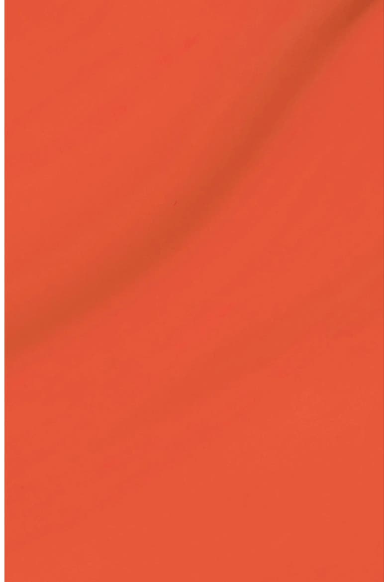 Nail Lacquer - My Chihuahua Doesn't Bite Anymore, Alternate, color, RED