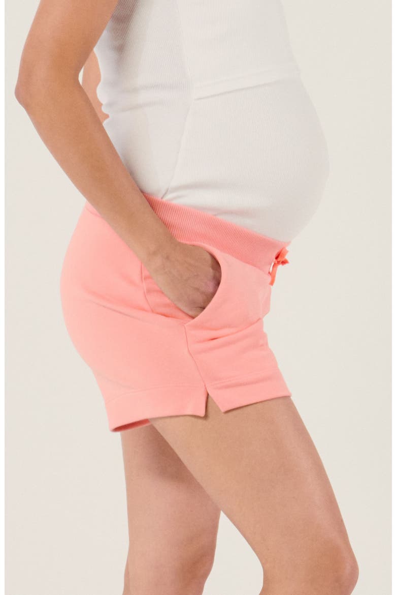 Maternity Shorts Coconut, Alternate, color, Apricot