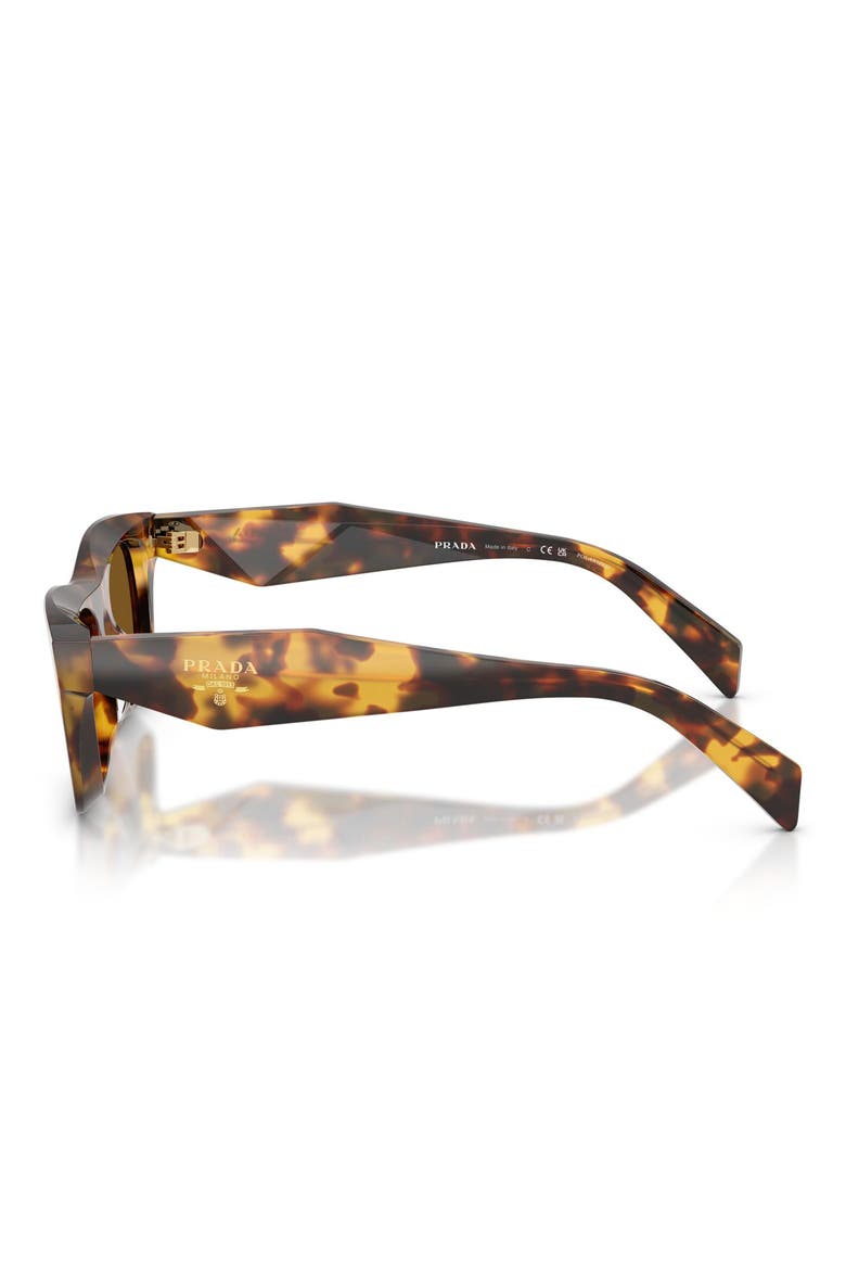 53mm Polarized Pillow Sunglasses, Alternate, color, HONEY TORTOISE / BROWN POLAR