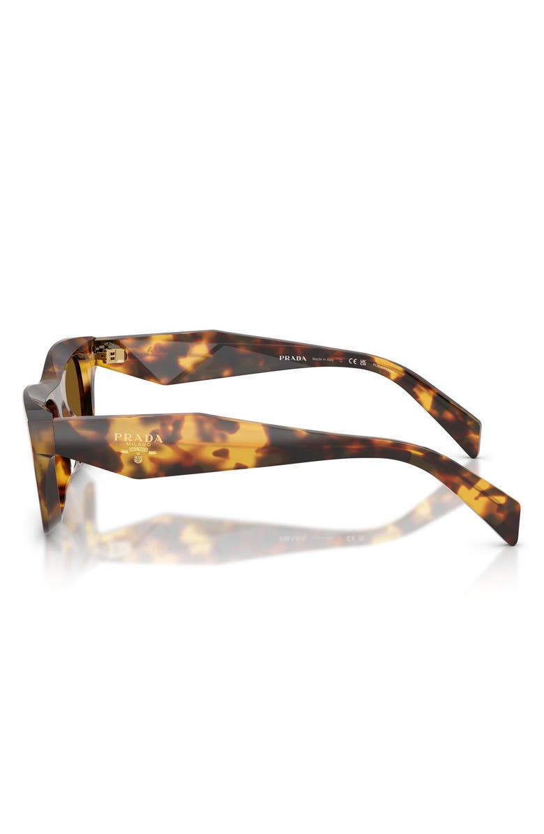 Prada 53mm Polarized Pillow Sunglasses, Alternate, color, Honey Tortoise / Brown Polar