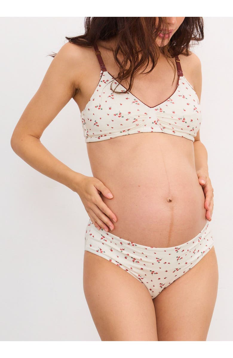 HATCH Collection The Everyday Brief, Alternate, color, Watercolor Rosette