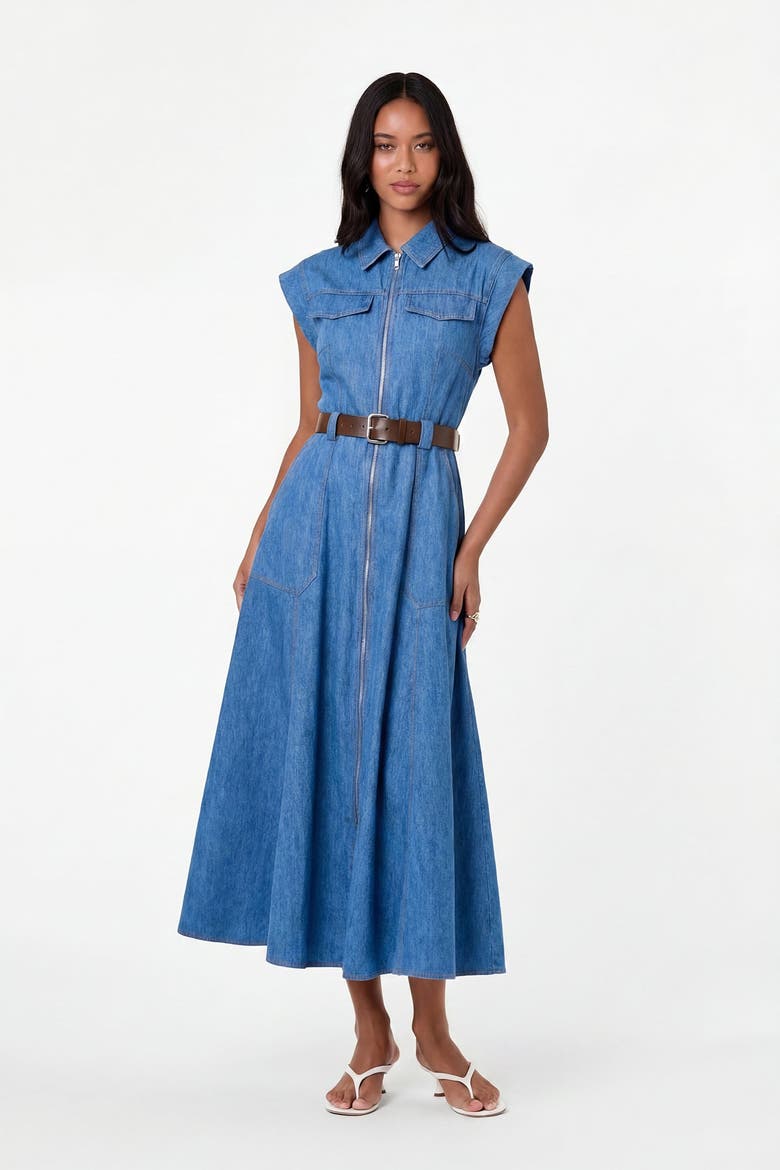 Trisha Denim Dress, Alternate, color, Light Wash
