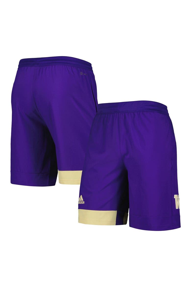 Men's adidas Purple Washington Huskies Training Shorts, Main, color, Purple