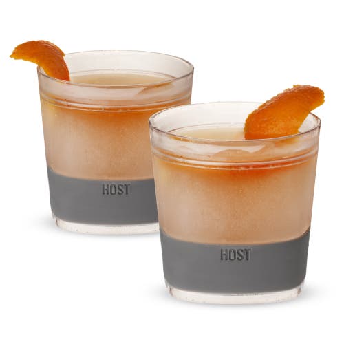 Host Whiskey Freeze Cooling Cup Set Of 2 In Gray