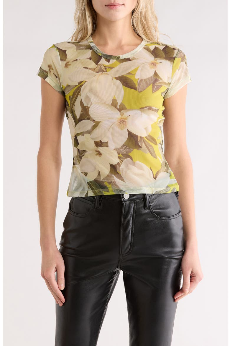 Ellie Floral Mesh T-Shirt, Main, color, REVIVE STEM GREEN
