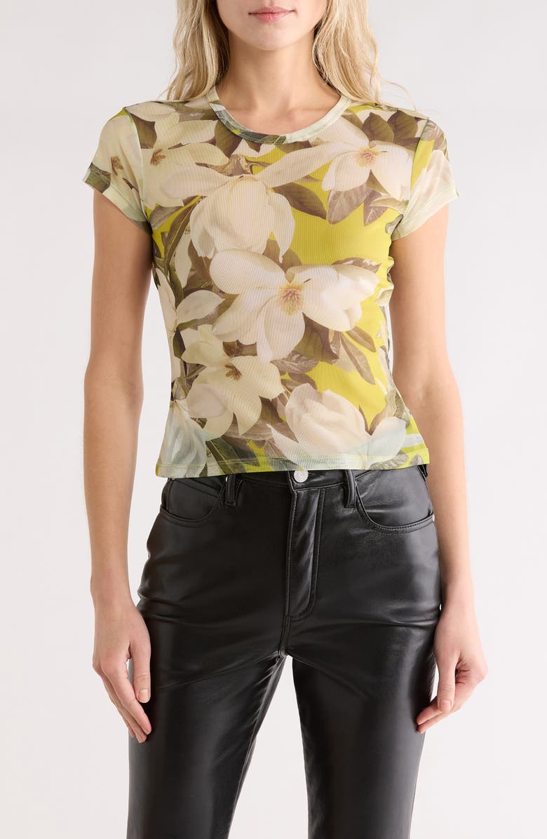 AllSaints Ellie Floral Mesh T-Shirt, Main, color, Revive Stem Green