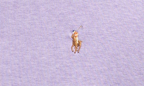 Polo Ralph Lauren Solid Cotton Jersey Polo In Purple
