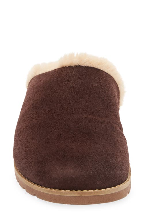 Chocolat Blu Yaro Faux Shearling Trim Muele In Brown