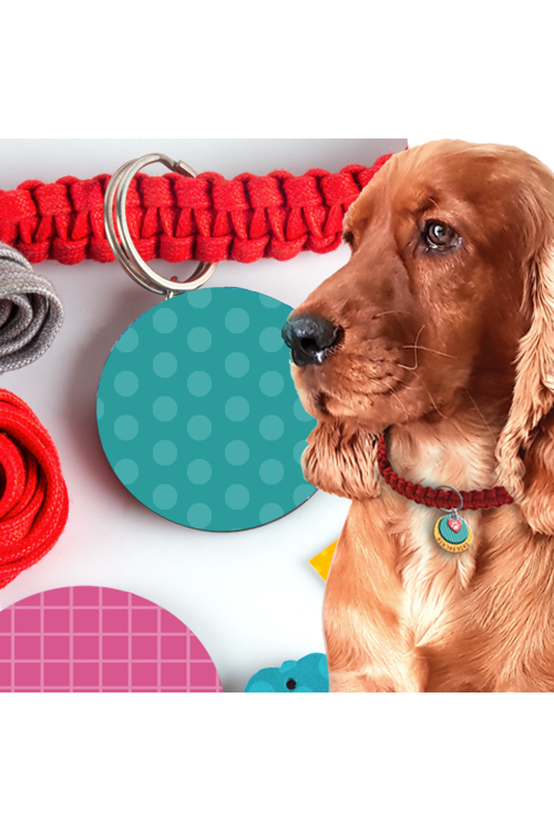 Pawfect gifts, Alternate, color, No Color