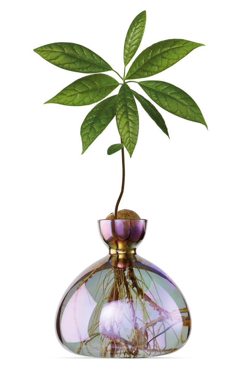 ILEX STUDIO Glass Avocado Vase, Main, color, Vega Iridescent