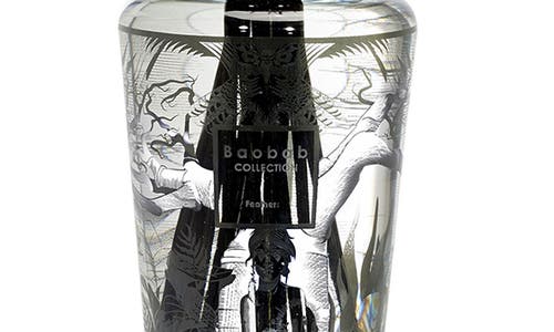 Baobab Collection Feathers Reed Diffuser In Feathers