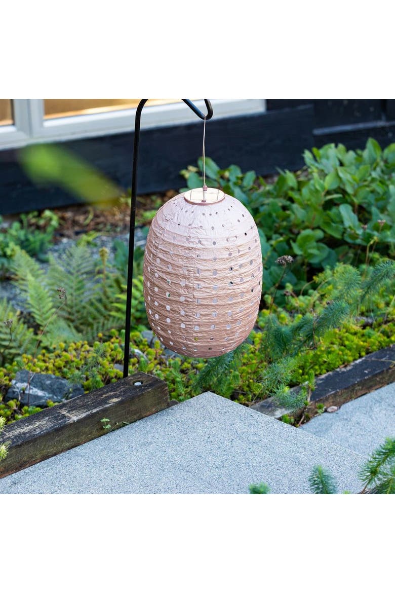 Soji Stella - Barrel Swiss Dot - Solar Lantern, Alternate, color, Rose