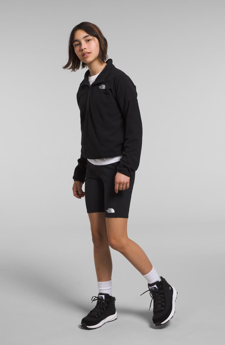 The North Face Kids' Glacier Pullover, Alternate, color,