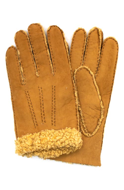 Portolano Genuine Shearling Leather Gloves In Brown
