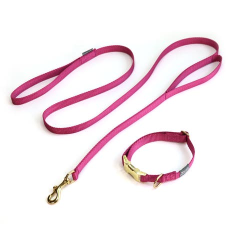 Brass Snap Collar and Leash Set