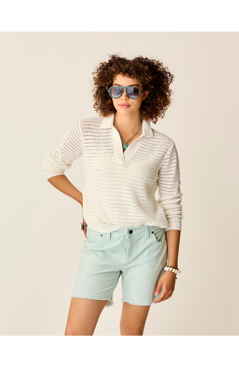 Carve Designs Morgan Polo Sweater, Main, color, Cloud