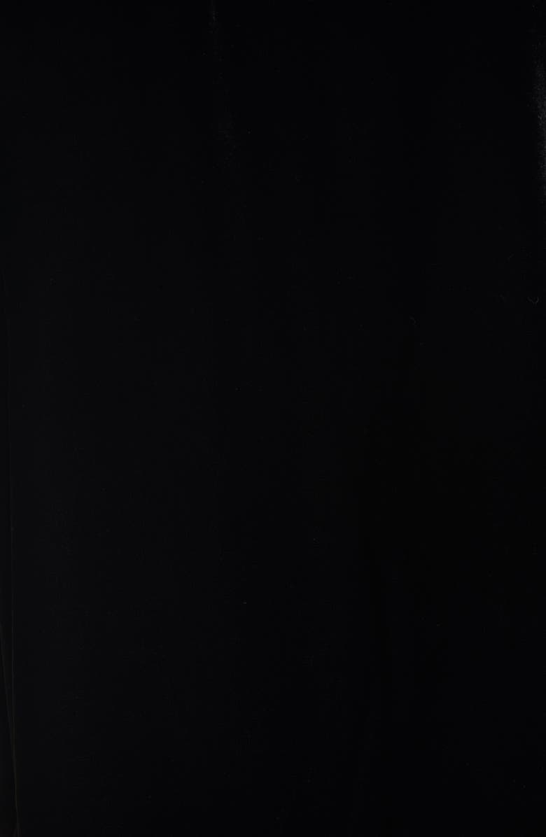 Eileen Fisher Velvet Tank Top, Alternate, color,