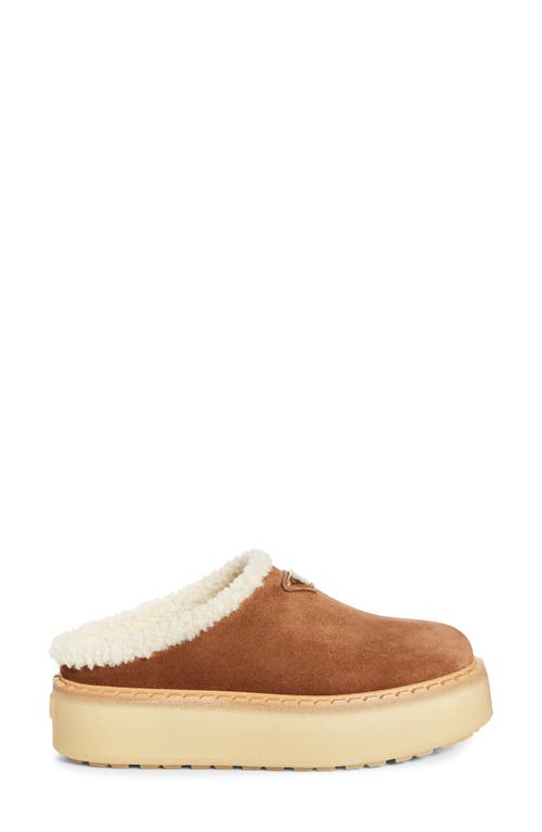 Prada Suede Shearling Cozy Platform Mules In Brown