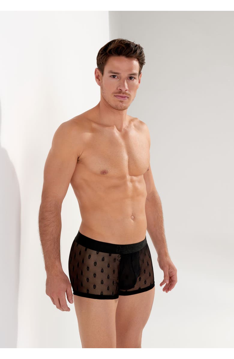 HOM Dark Trunk, Alternate, color, 