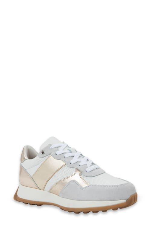 Naot Sunset Sneaker In Multi