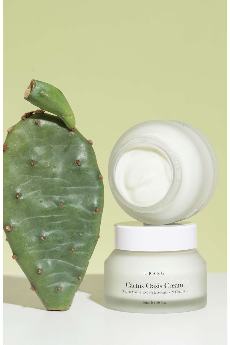 Cactus Oasis Cream, Alternate, color, None