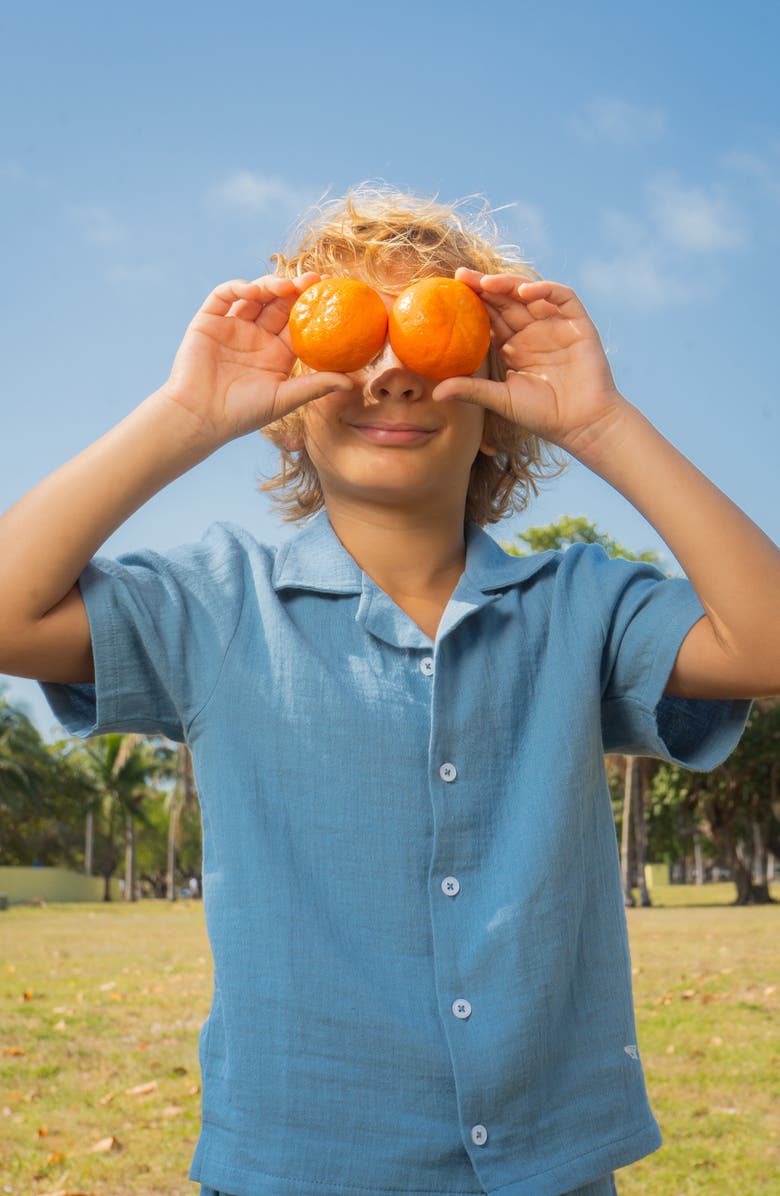 MUMZERS Kids' Blue Cotton Muslin Camp Shirt & Drawstring Shorts Set, Alternate, color, Blue