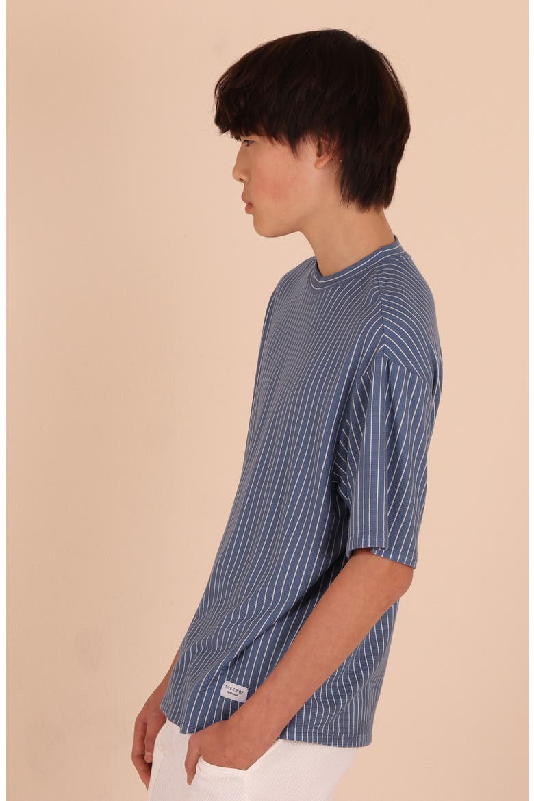 Rib Vertical Stripe T-Shirt, Alternate, color, BLUE