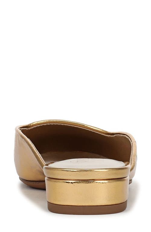 Franco Sarto Dayla Mule