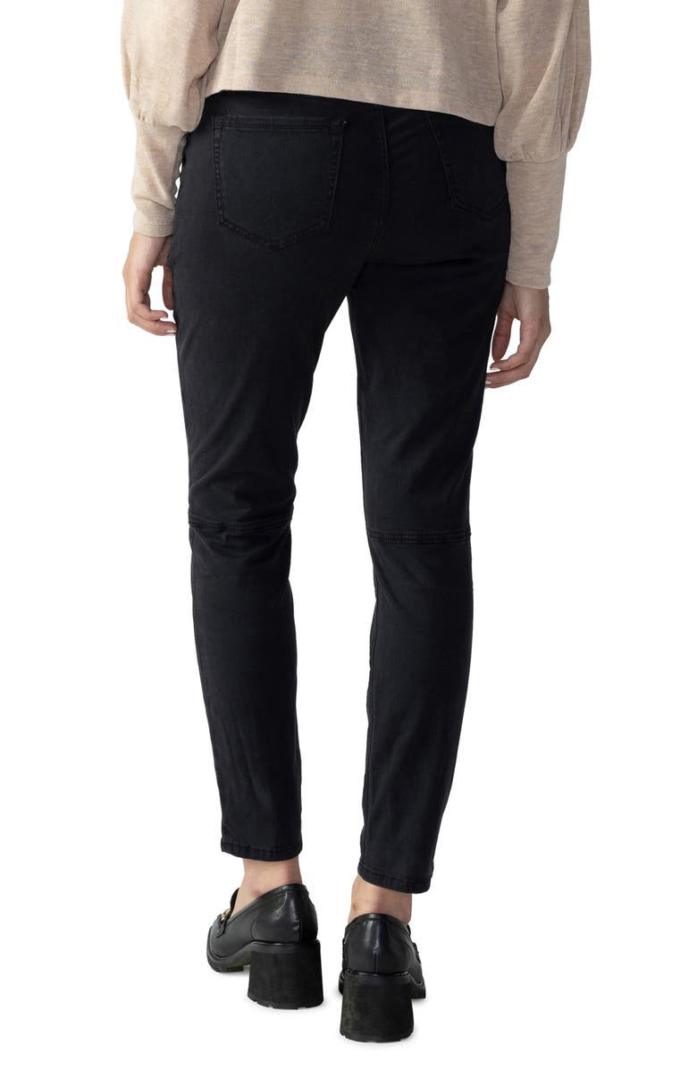 Sanctuary Hayden Skinny Pants, Alternate, color, 