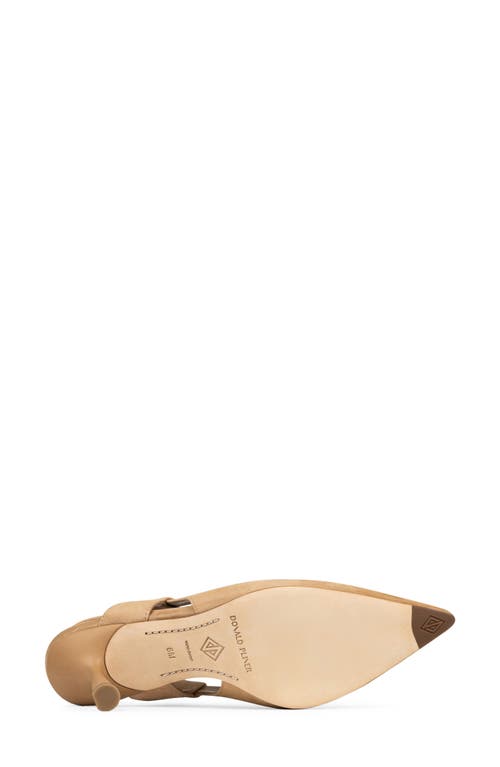 Donald Pliner Pointed Toe Slingback Pump In Brown