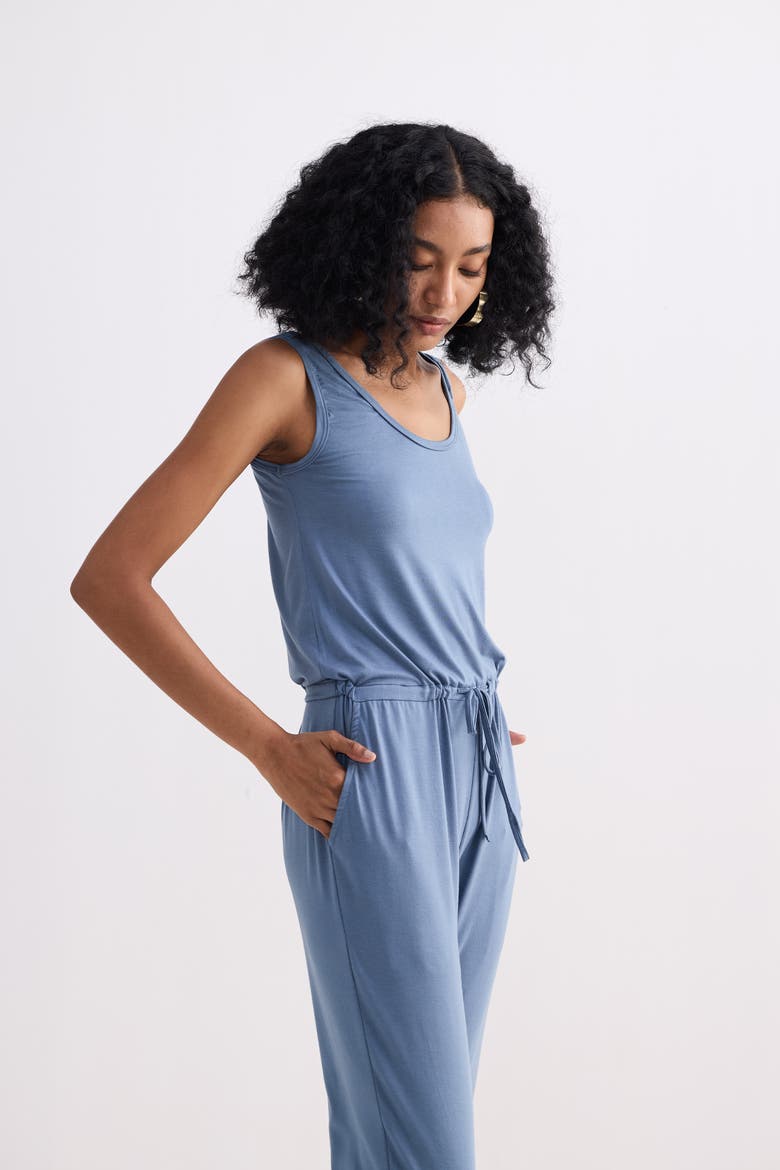 Relaxed Drawstring Jumpsuit, Alternate, color, Blue
