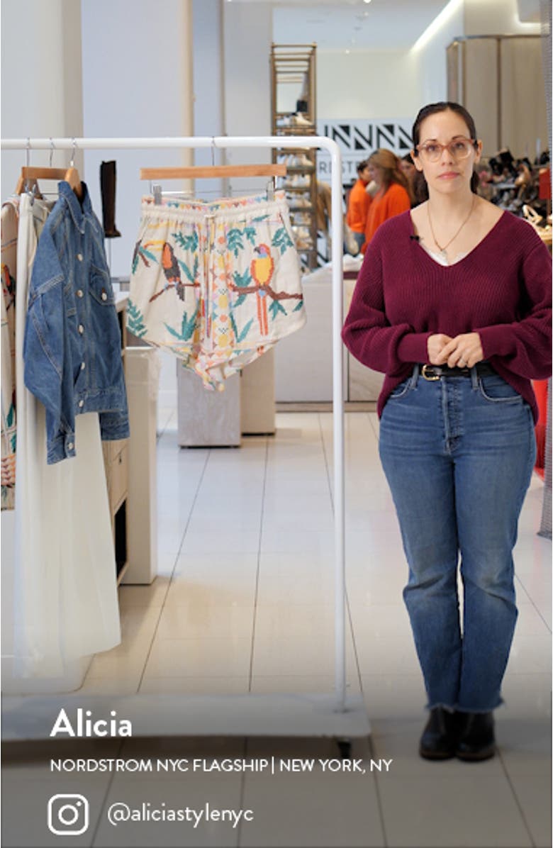 Stitched Birds Pull-On Linen Blend Shorts, sales video thumbnail