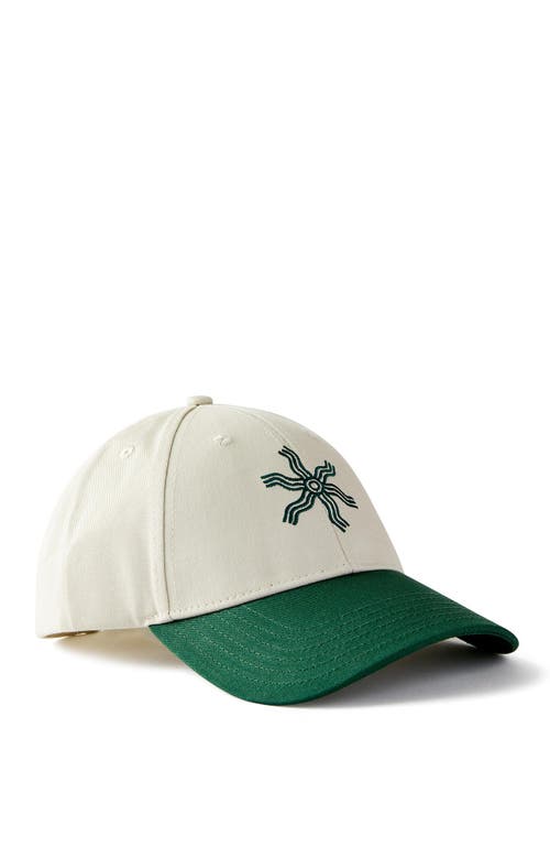 Cotton On Tylah Saunders 6 Panel Ball Cap In Lcn Tylah Saunders White
