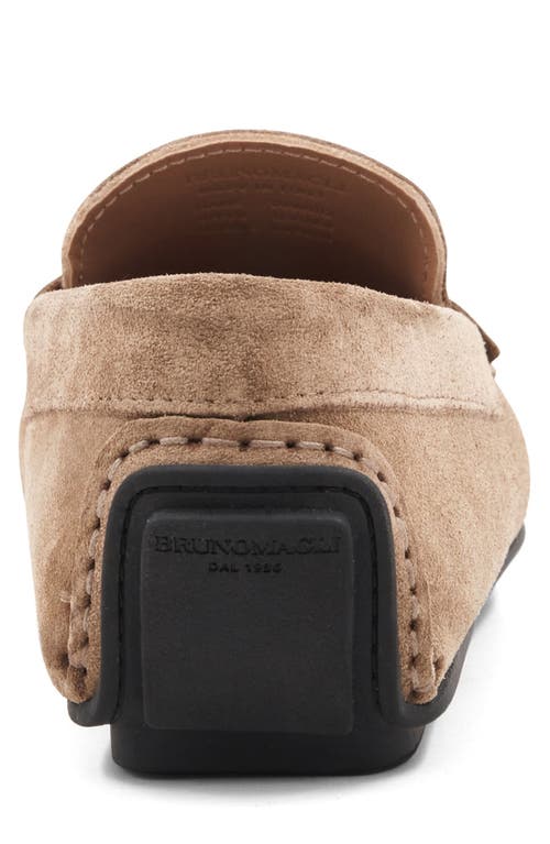 Bruno Magli Taranto Penny Loafer In Taupe Suede